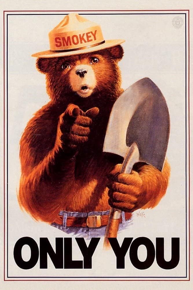 rayprint Metal Signs Smokey Bear, Only You Signs Retro Aluminum Sign for Home Coffee 8x12 Inches