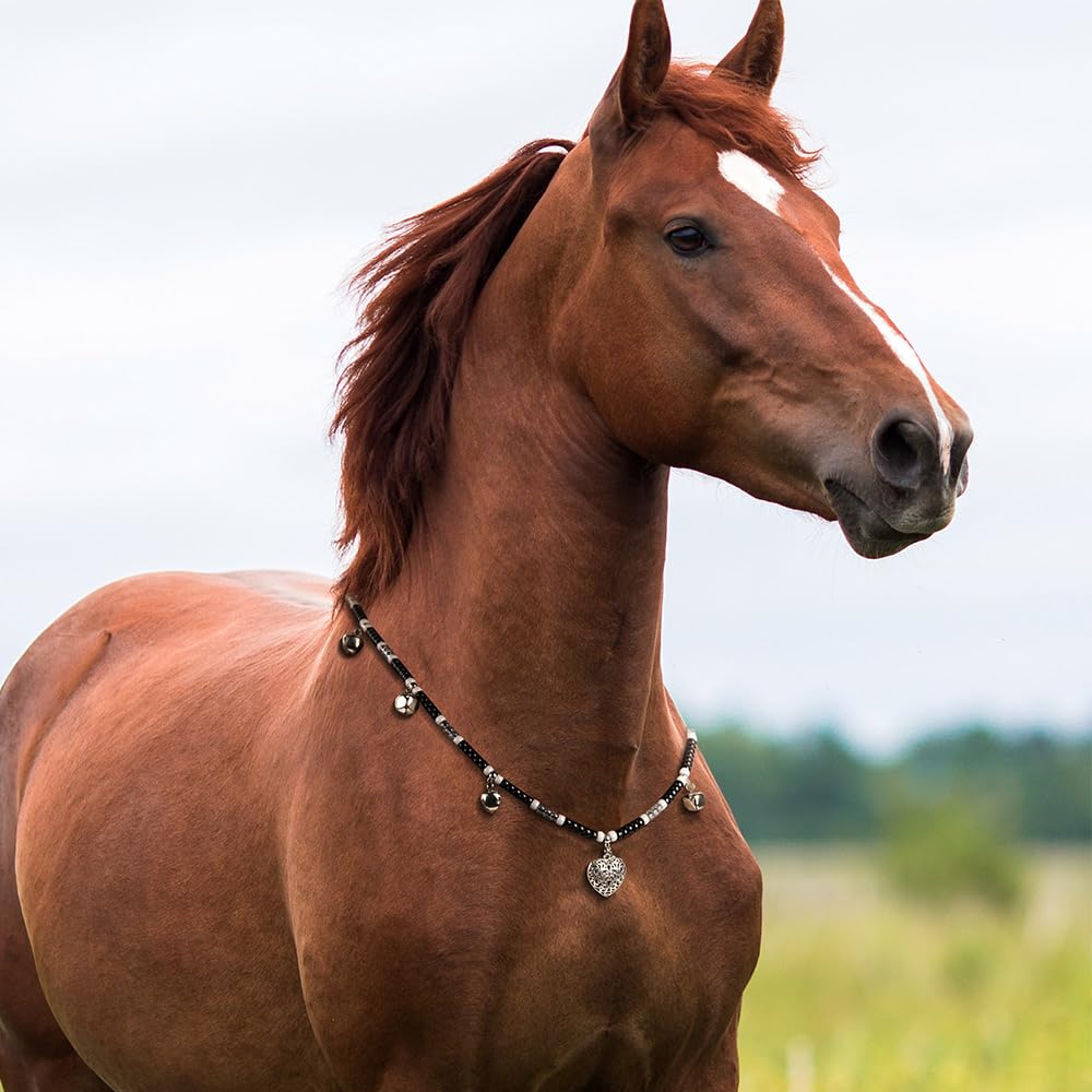 Amazon.com: callie Personalized Horse Bead Necklace with Bells