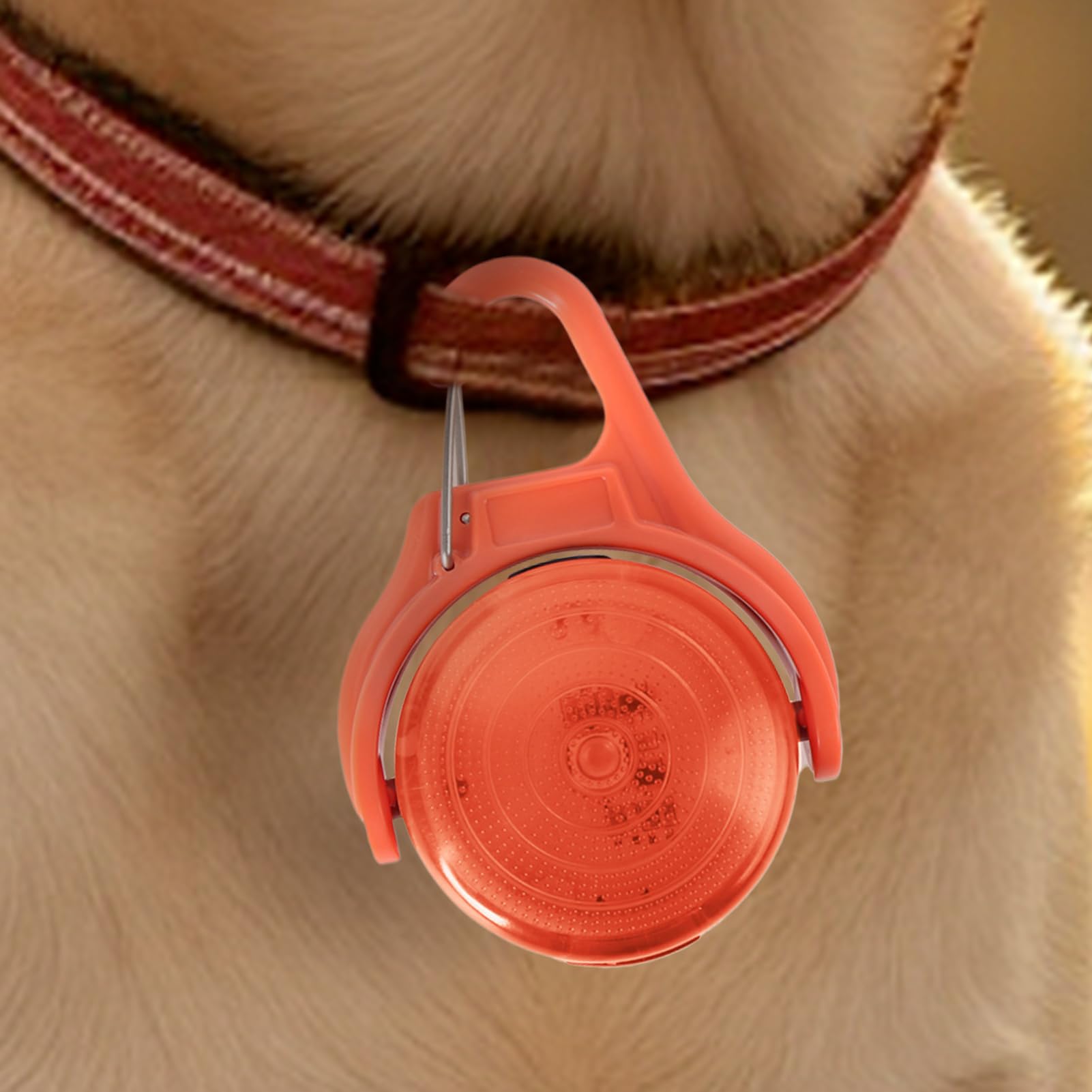 Lampada da passeggio per cani ricaricabile,luci per collare per cani | Luce per collare per animali ricaricabile tramite USB - Torcia per cani multiuso per alpinismo, guida notturna, corsa notturna e