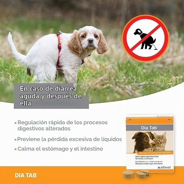 Foto 3 de 7 de Alfavet Dia Tab 20 x 5,5 g - Complemento alimenticio dietético para perros