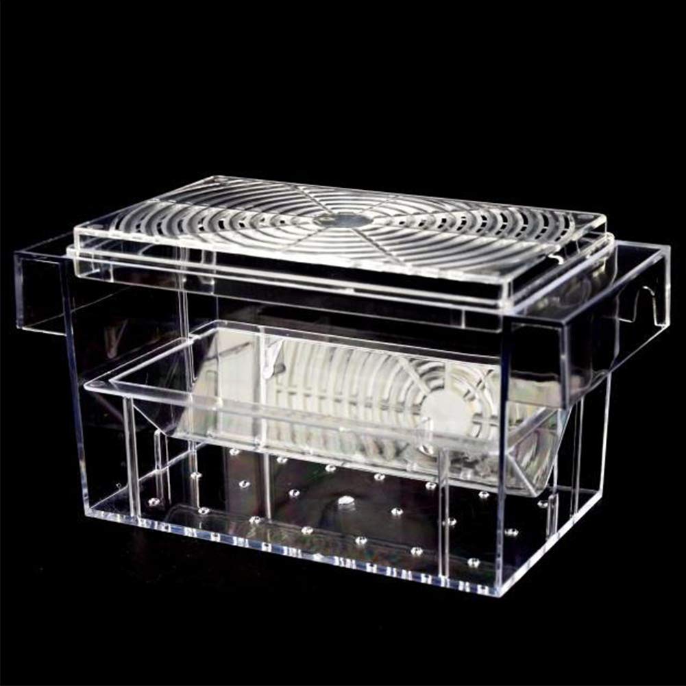 Buy NANAD Fish Breeding Box Fry Mini House Tank Isolation Breeder