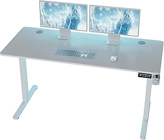 Standing Desk, 55x24 Inch Height Adjustable Electric Sit Stand up Desk, Ergonomic Rising Computer Table, Modern Lift Gaming Desk Workstation for Home Office, White
