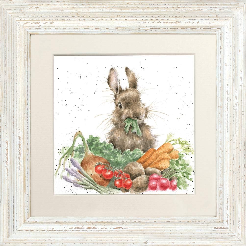 Wrendale Designs "Grow Your Own Rabbit Framed Picture - Various Frame Colours (Distressed White) (White)