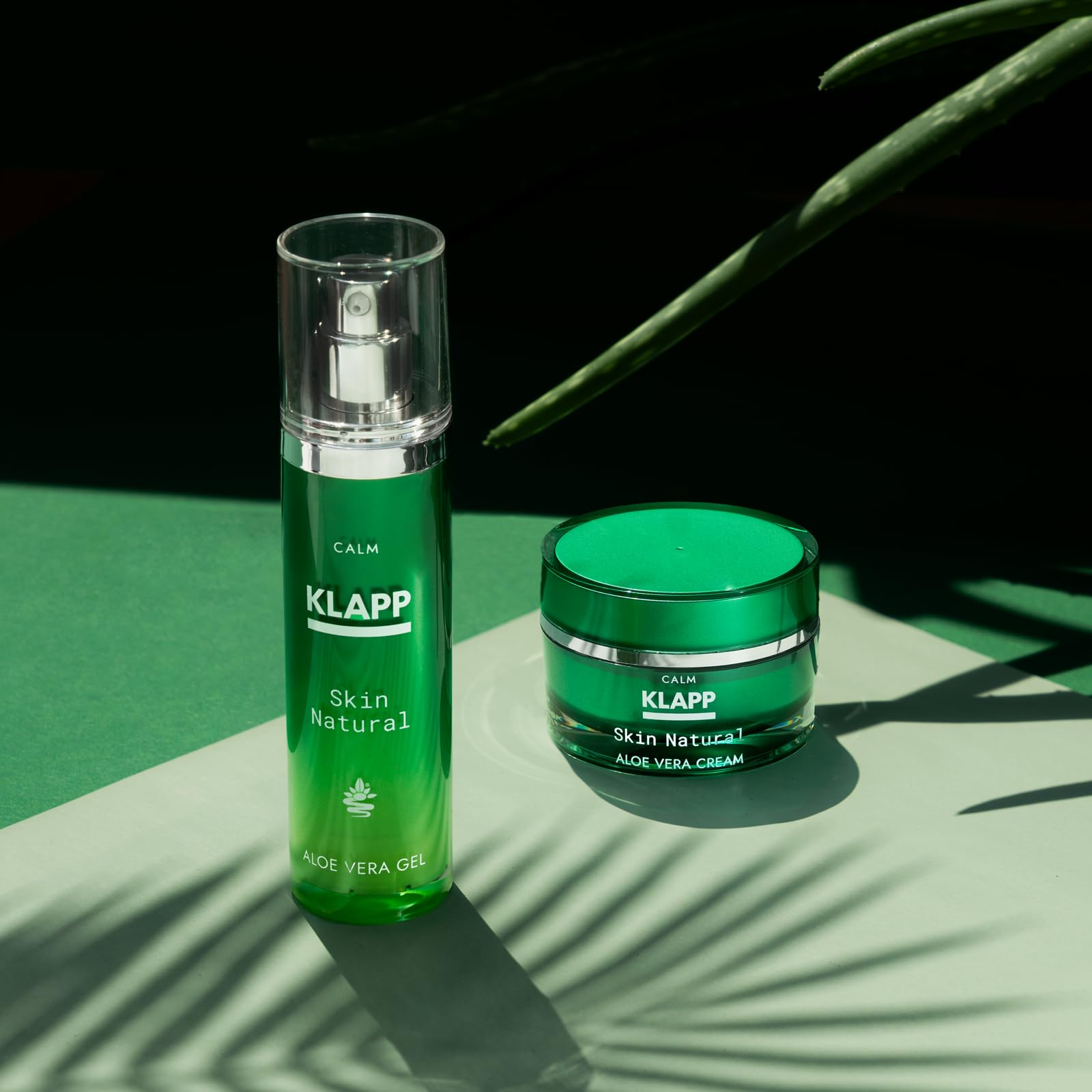 welche aloe vera für die haut Bio Aloe Vera Gel 2in1 – Feuchtigkeit für Haut & Haar main image 1