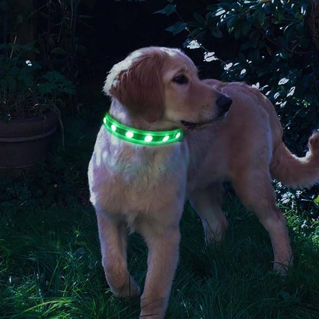 Foto 4 de 6 de QQY Collar de Perro led, Collar de Mascota Impermeable y Luminoso Cargado por USB con 3 Modos de Collar…