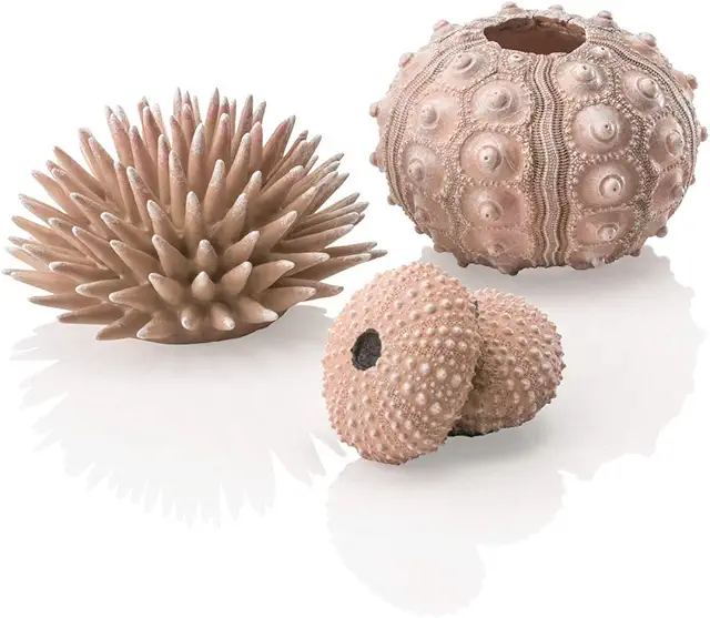biOrb Sea Urchin Aquarium Decoratie Set - Natuurlijke Vissenversiering