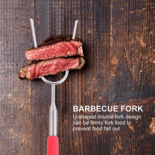 Espetos extensíveis de aço inoxidável Hemoton 5 peças para grelhar acampamento