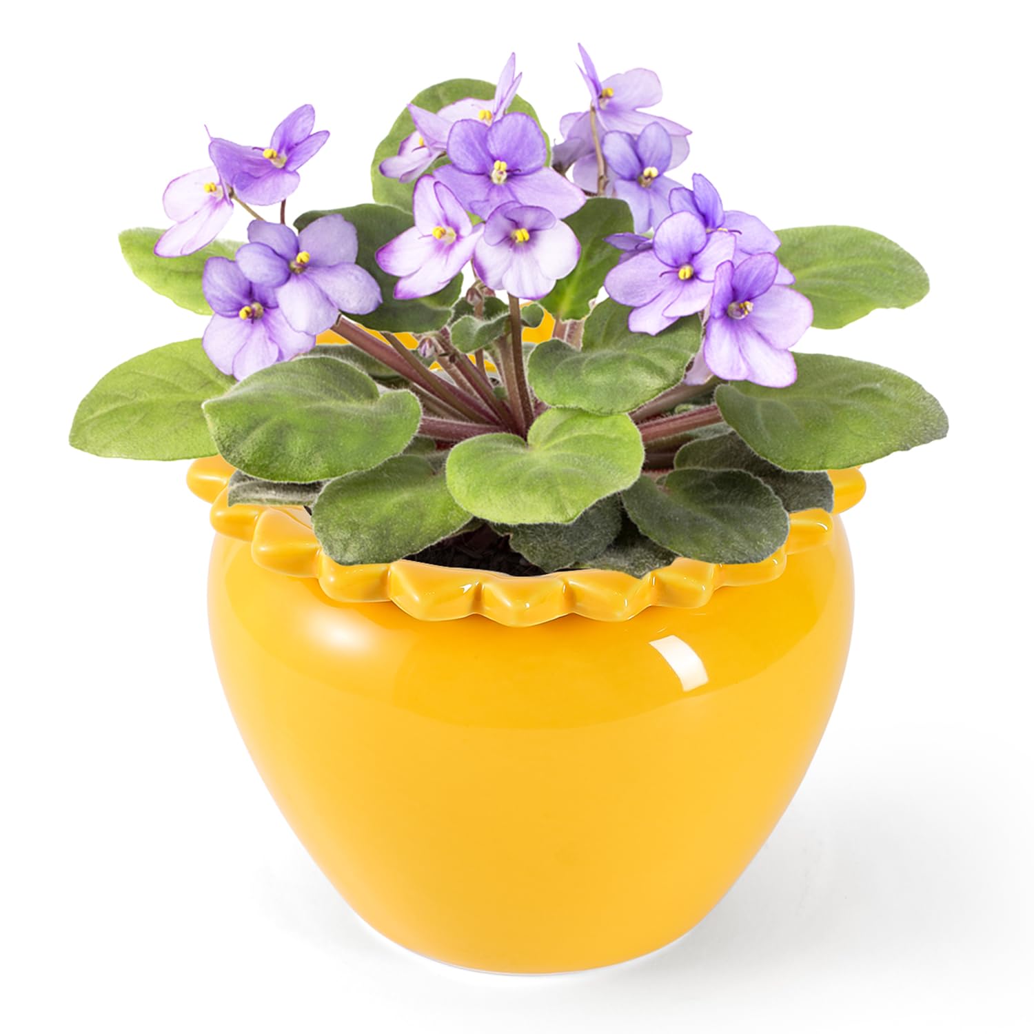 Lovely Ran Yellow Lotus Flower Ceramic Self Watering Planter Pot, 5.3 x 4.58 x 4.7 inches, Absorbent, Indoor Outdoor, 2-Piece, Planter Type, 1.25 lbs
