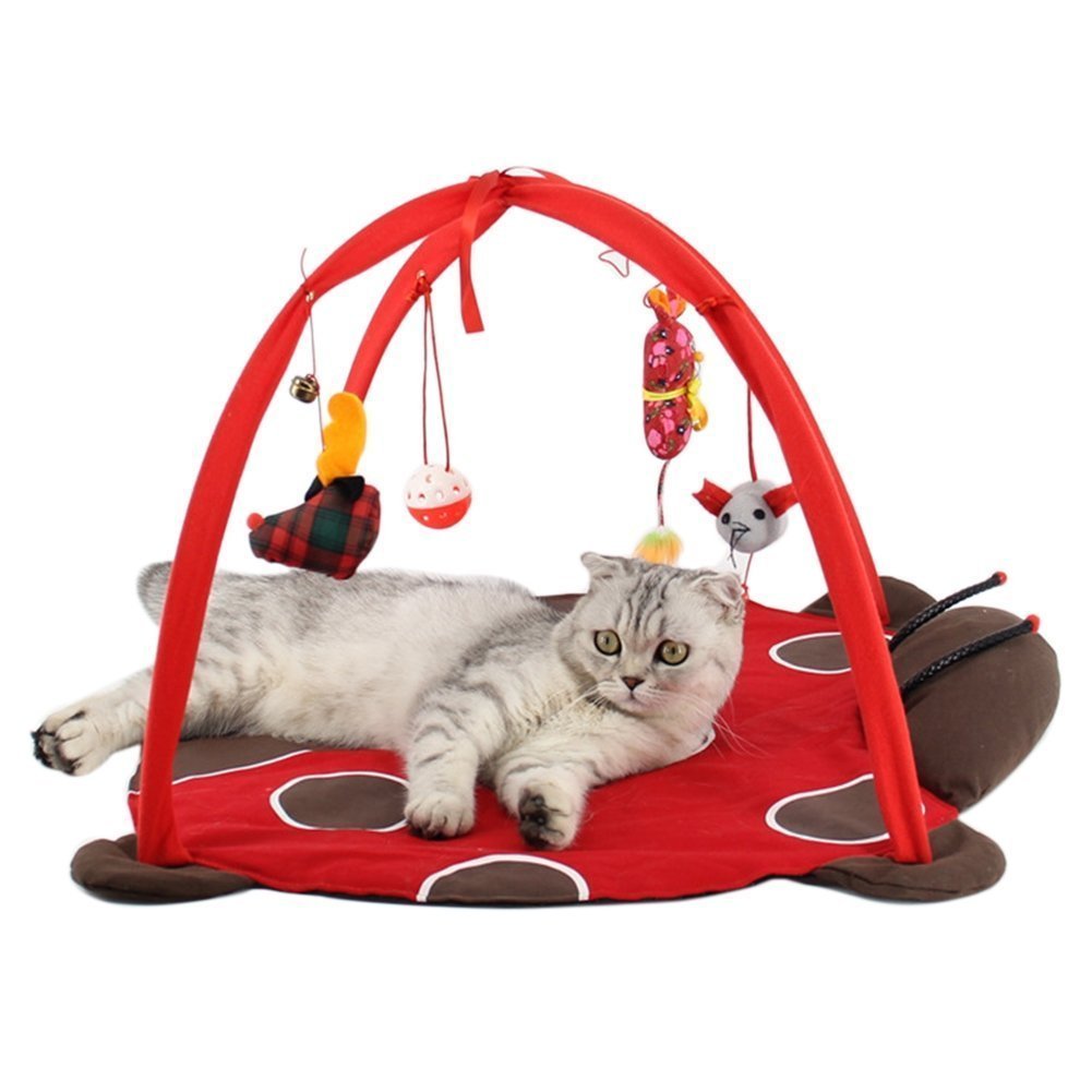 Totoo Cat Activity Center with Hanging Toy Balls, Mice & More - Helps Cats Get Exercise & Stay Active (C)