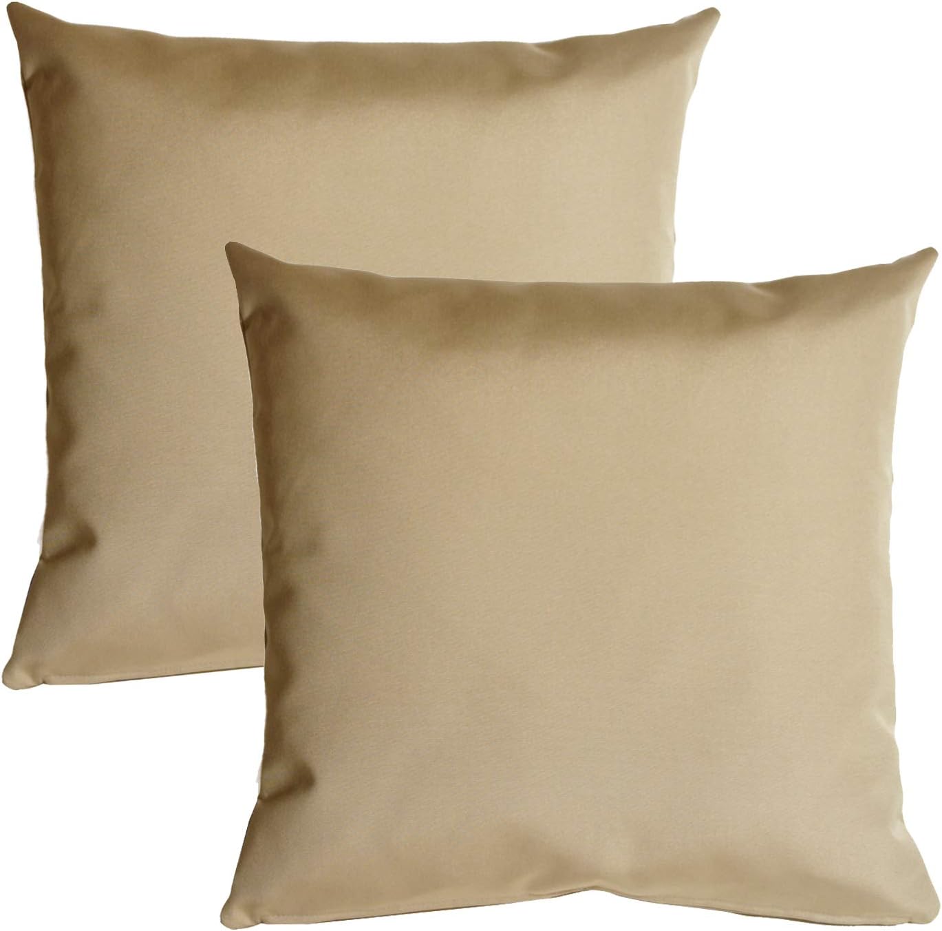 Pillow Decor Sunbrella Indoor Outdoor Throw Pillow, Melon, 20"x20" (Set of 2) - Inserts Included