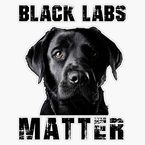 Magnet Black Labs Matter - Adhesivo magnético impermeable para coche, 5 pulgadas