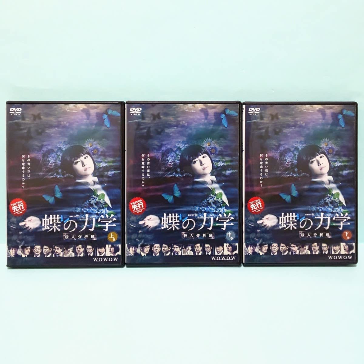 Amazon.co.jp: 連続ドラマW 蝶の力学 殺人分析班 レンタル版 DVD