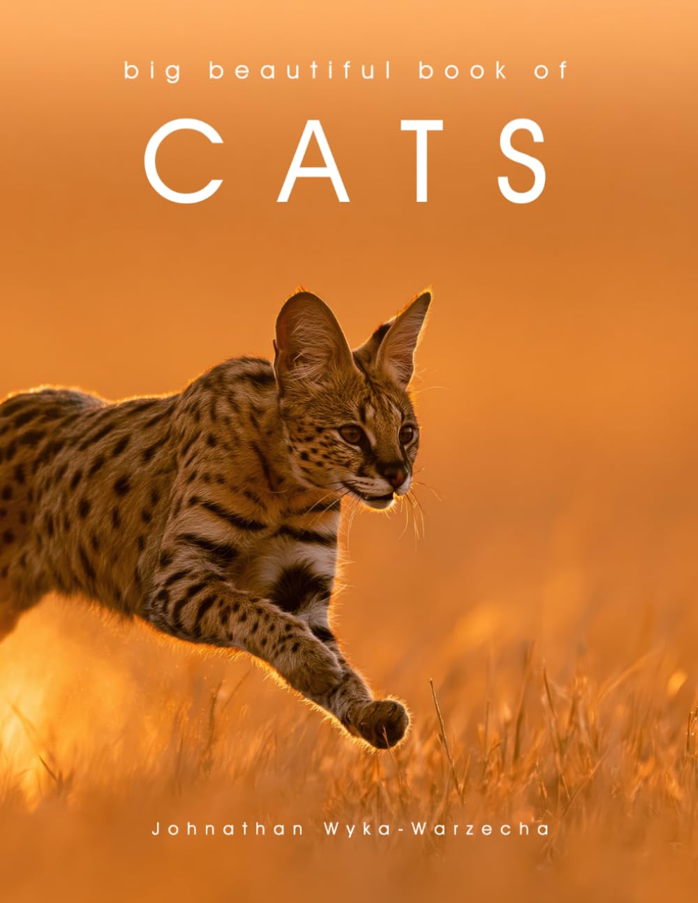 Big Beautiful Book of Cats: Cat Coffee Table Picture Book | Cat Breed Photography Images | Feline Home Decor Accent Piece