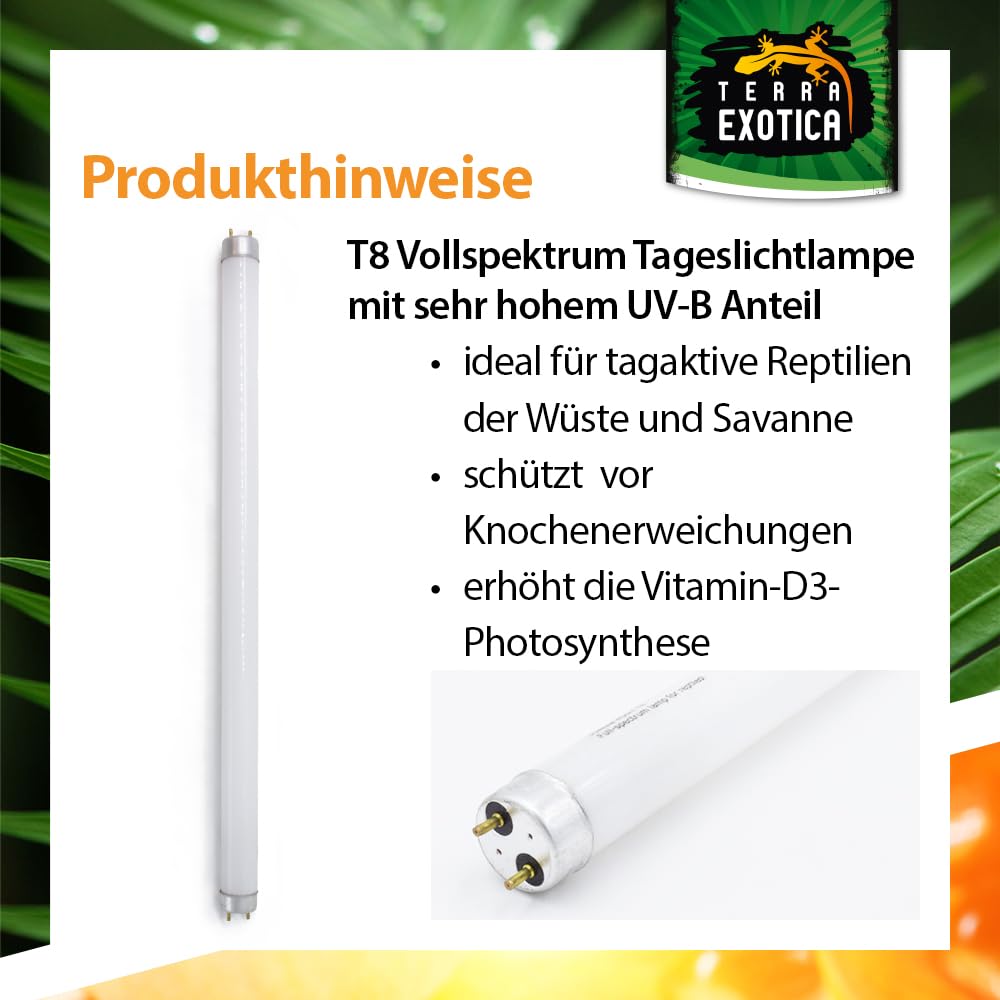 Terra Exotica Sunray Desert UV 10.0 - Leuchtstoffröhre mit hoher UV-B Abstrahlung - Ideal für tagaktive Reptilien der Wüsten- und Savannengebiete (30, Watt)