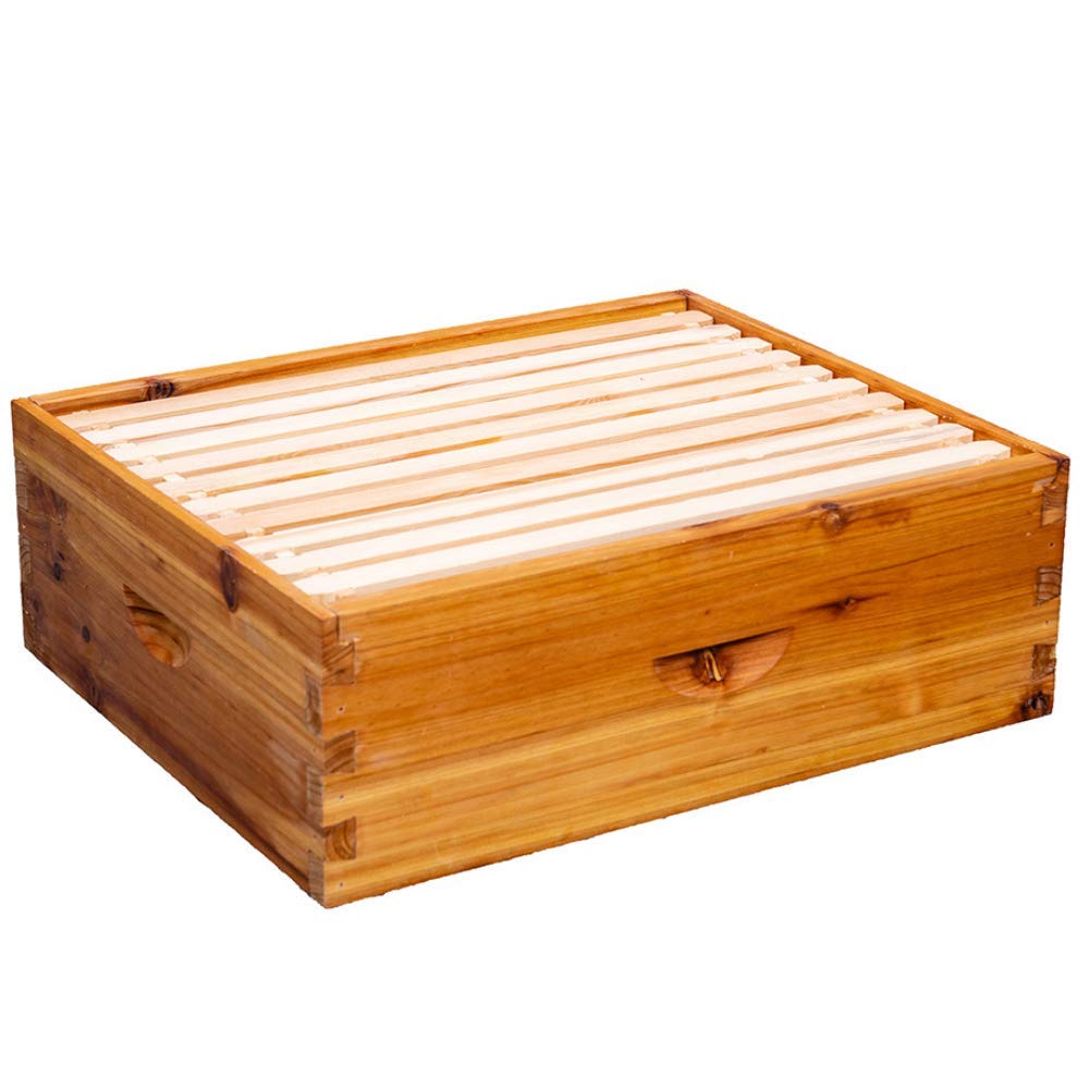 8-Frame Beehive Box Langstroth Medium Super Bee Box for Sale Wax Coated Bee Hives Includes Wooden Frames & Waxed Foundations (Unassembled)