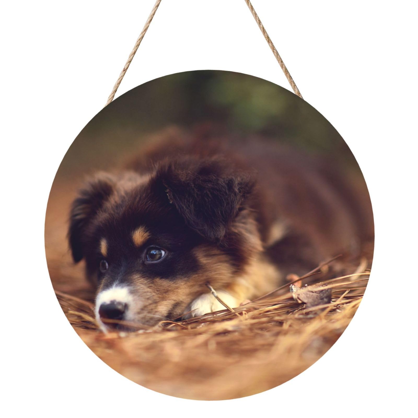 InOmak Border Collie Puppy Bokeh Brown Border Collie, Round Wood Panel Painting 12 in, Wall Hanging Painting For Home