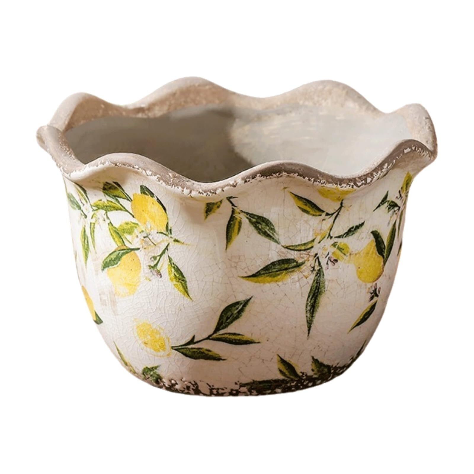 Pots de fleurs amusants pour chambre et bureau : dites adieu à la décoration triste et banale