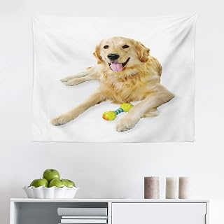 Ambesonne Golden Retriever Tapestry, A Photo of Happy Dog Laying Down the Ground on Plain Backdrop Print, Fabric Wall Hanging Decor for Bedroom Living Room Dorm, 28" X 23", Multicolor