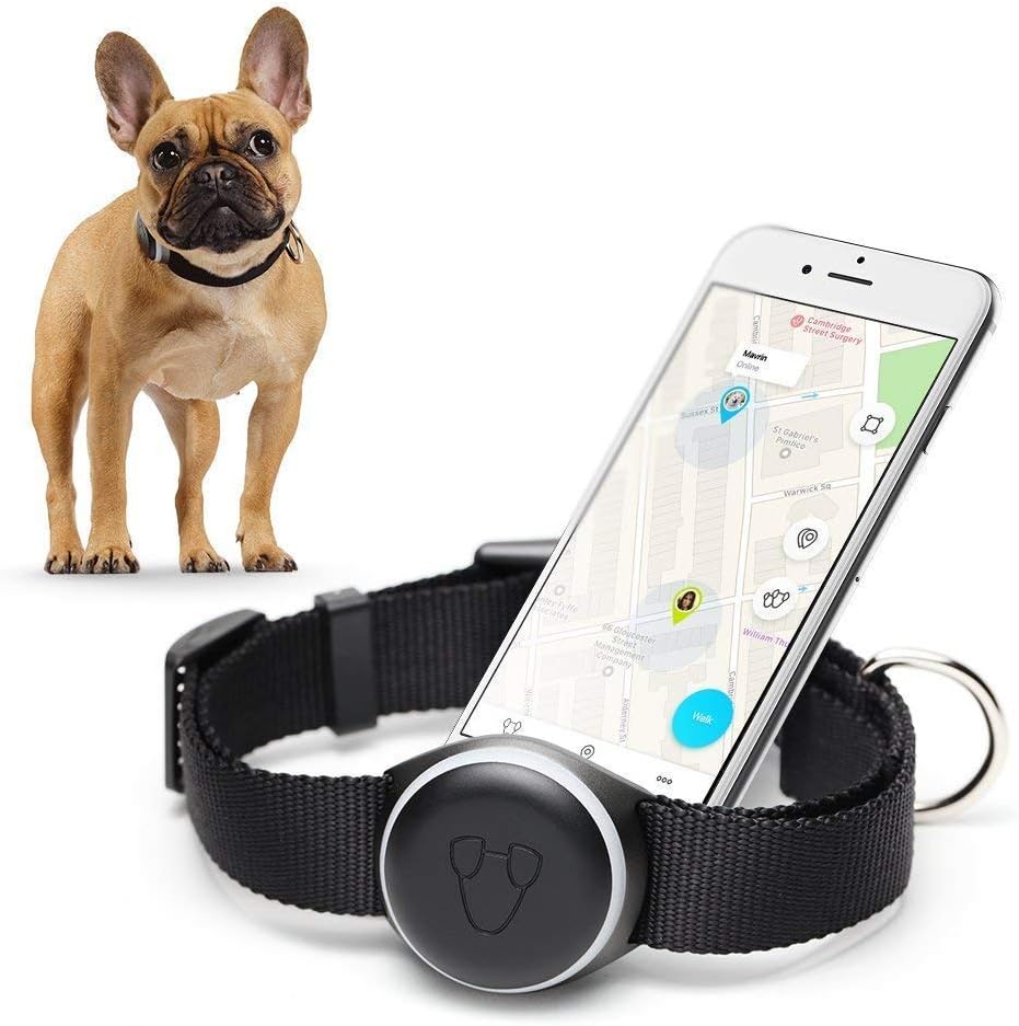 Mishiko Version 2 - Collar Tracker for Dogs with Integrated GPS, Waterproof Activity Tracker, Diagnostics Physical Status, Wireless Charging, Unlimited Subscription, Enhanced Version - Black