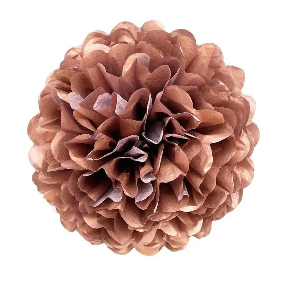AYHTUD 5pcs 4 6 8 10 12 Inch Tissue Paper Pom Pom Poms Wedding Party Paper Pompom Flower for Wedding Decoration Pompoms Birthday Baby-Roes gold-10 inch 25cm