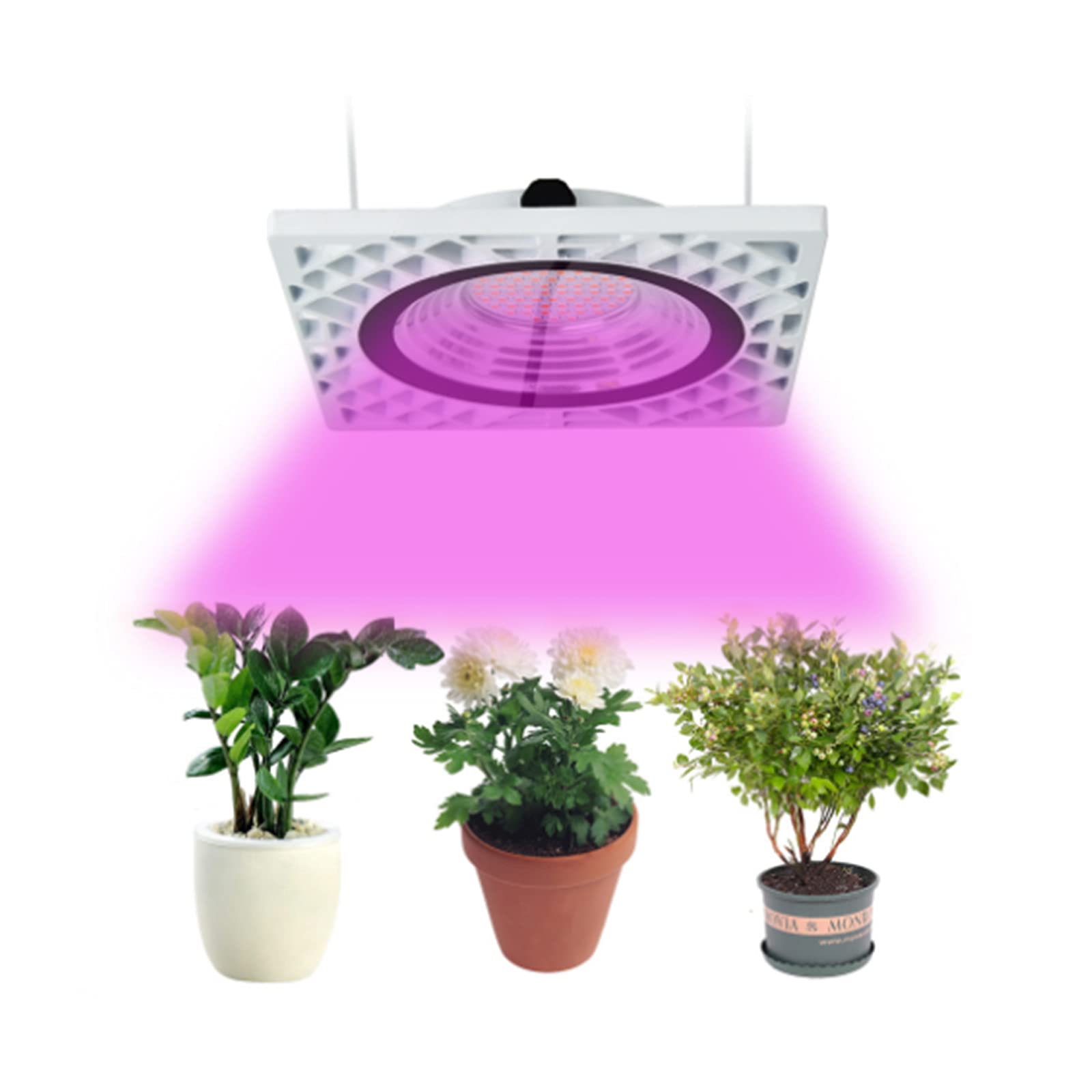 LED Lámpara de IA Planta, 50W Grow Light Espectro Completo, para Interior/Invernadero/Grow Box Vegetal Crecimiento,Blanco