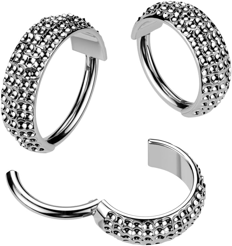 Pierced Owl 16GA ASTM F-136 Implant Grade Titanium Wide Hoop with Ball Cuts Hinged Segment Clicker Ring - Image 3