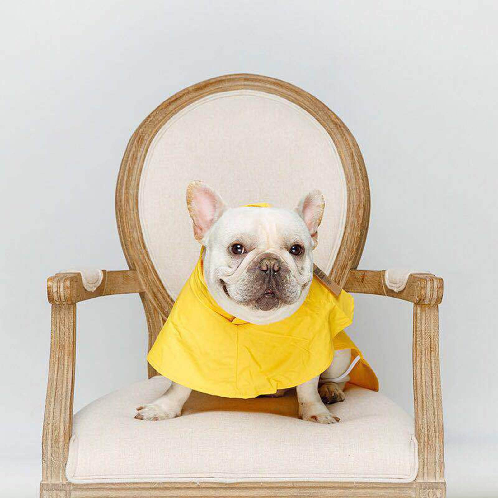 Hund Regenmantel wasserdichte Hundemanteljacke, Hunderegenmäntel, klein, mit Kapuze, Haustier-Regenumhang mit Kapuze, langlebig, regenfest