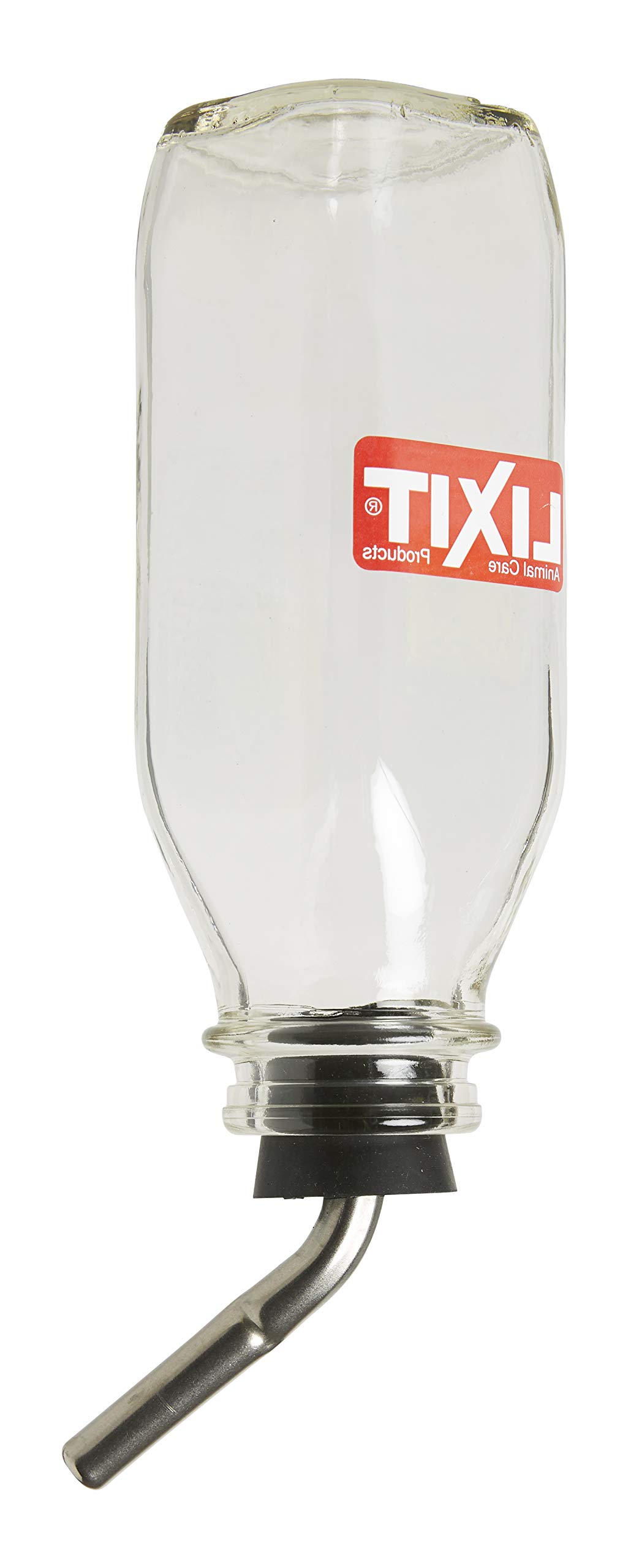 wine mason jar glasses Honey Bee Wine Glass