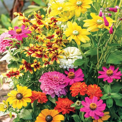 Collections Etc Roll Out Flower Seeded Mats That Attract Butterflies - Set of 2, Butterfly