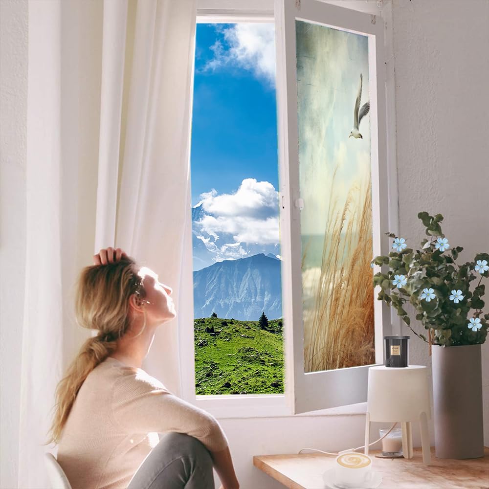 Zeitgenössische Sichtschutzfolie mit Möwe, wildes Grasland, Küste, Seevögel, Milchglas, Fensterfolie, dekorativ, statisch haftend für Glas für Zuhause, 90 x 140 cm
