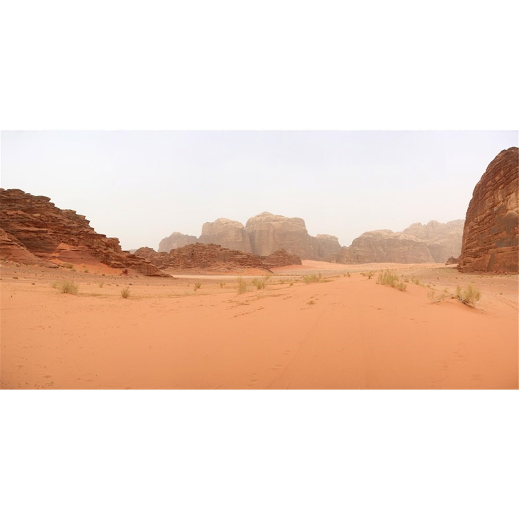 MIRRORANG 61x30cm Terrarium Background Gobi Oasis Rocky Orange Desert Reptile Habitat Background Durable Vinyl Background
