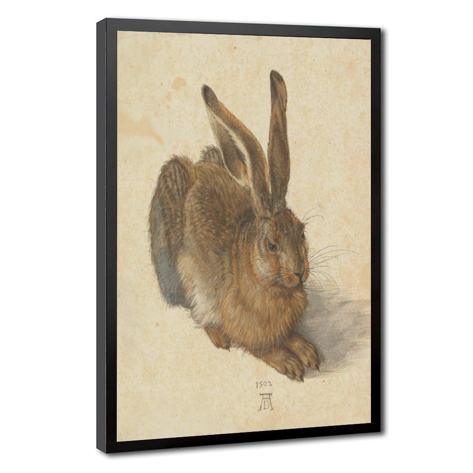 Impression sur toile The Hare by Durer pour décorer un mur vide - 8