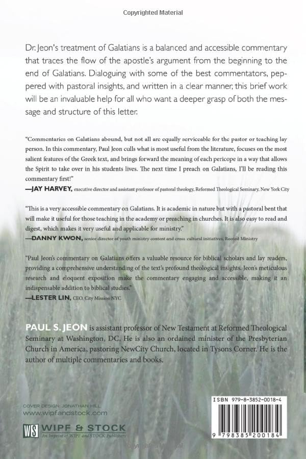 Galatians: Freedom in the New Age - Image 2