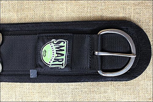 Weaver Leather Equine - Nylon Felt Lined Straight Smart Cinch for Horses, Black, 34-Inch