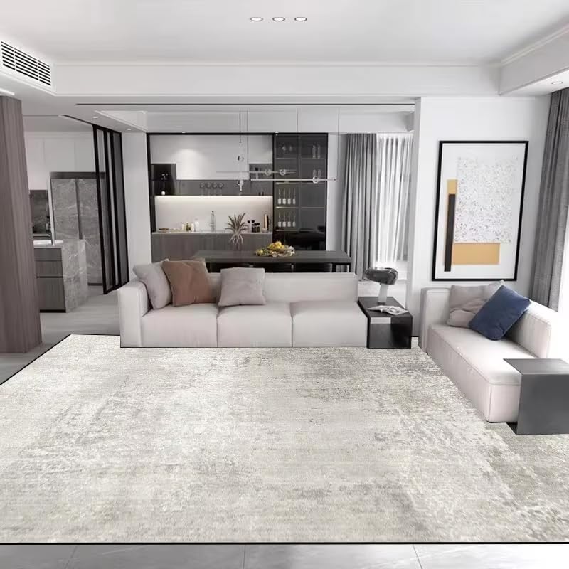 Tapis de Salon Gris Uni Style Luxueux et Finitions Soignées, Format 100 x 160 cm