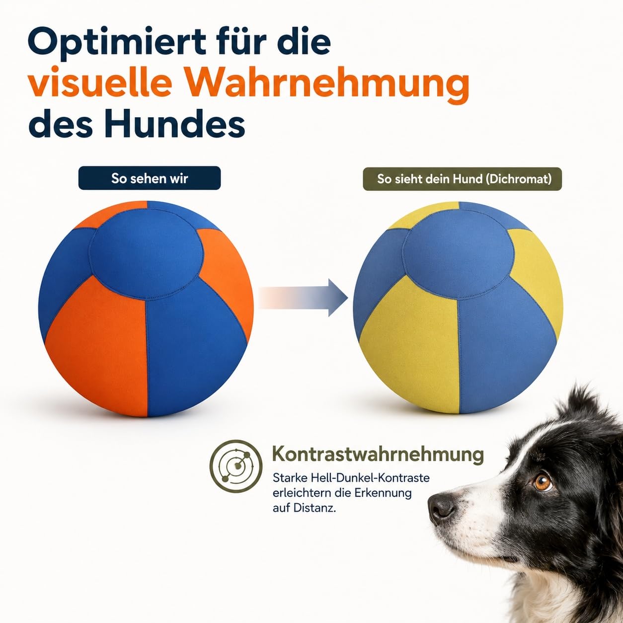 Generisch Herding Ball für Hunde, Treibball für Hunde Bissfest Gross, Aufblasbarer Hundeball, Outdoor-Trainingsgerät für Border Collies, Innenhöfe und Pools (Orange & Blau, 55 cm / 21.65 in)
