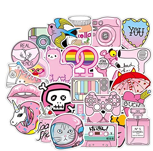 100 Pack Girl Cute Lovely Laptop Stickers Water Bottle Skateboard Animals Phone Bicycle Luggage Guitar Bike Sticker Decal