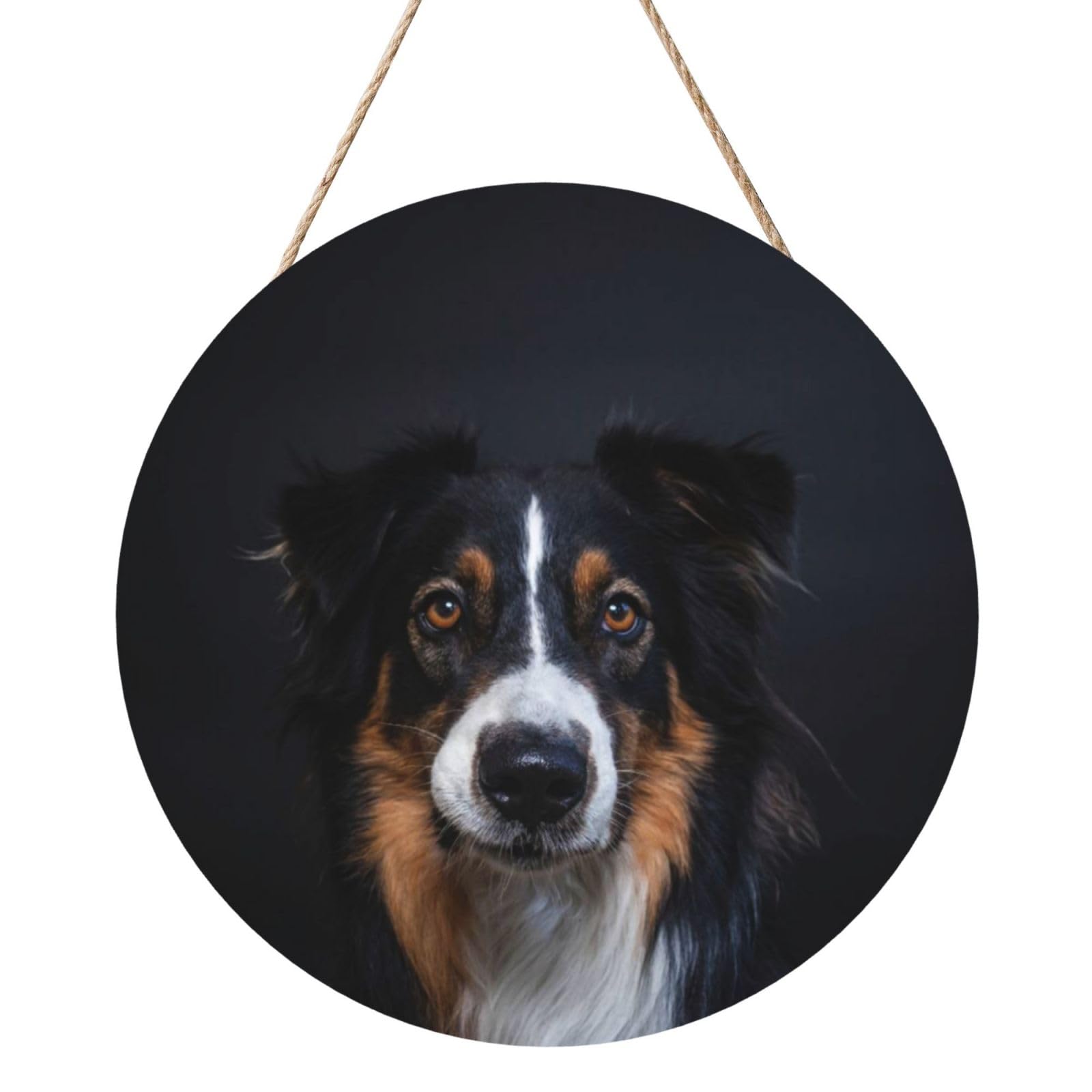 InOmak Portrait Of Border Collie Print, Round Wood Panel Painting 12 in, Wall Hanging Painting For Home