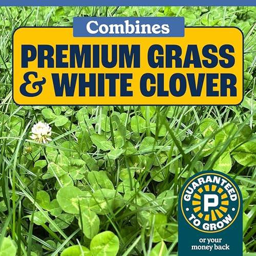 Mini Clover Lawn Seed Blends For Soil Improvement