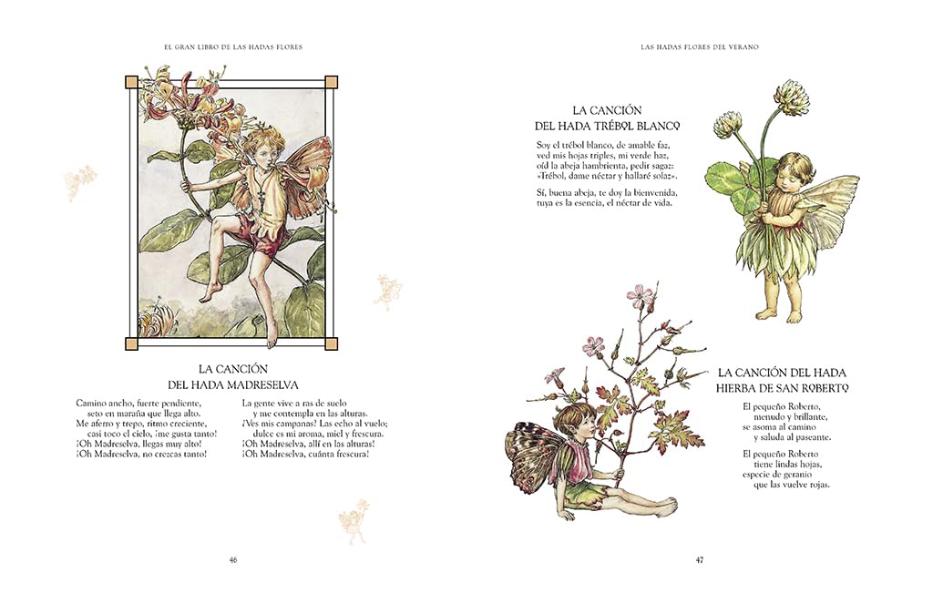 El gran libro de las Hadas Flores (Montena)