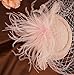 Cizoe Fascinators Hats 20s 50s Hat Pillbox Hat Cocktail Tea Party Headwear with Veil for Girls and Women(B-Peach)