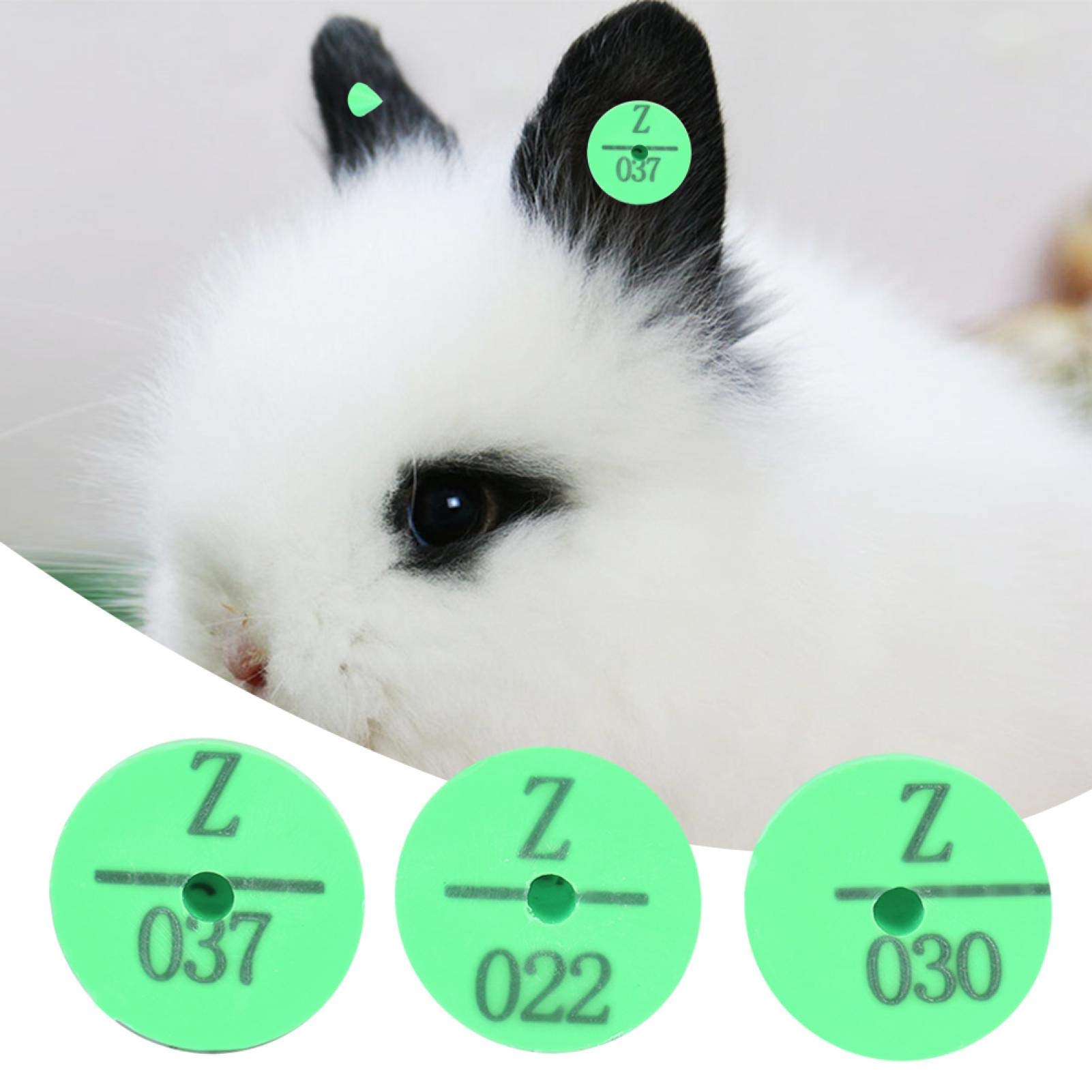Pince à étiqueter d'oreille pour Animaux d'élevage, 100 pièces étiquette d'oreille en Plastique pour Animaux d'élevage de qualité pour étiquette de marqueur de Chien de Lapin(Vert)