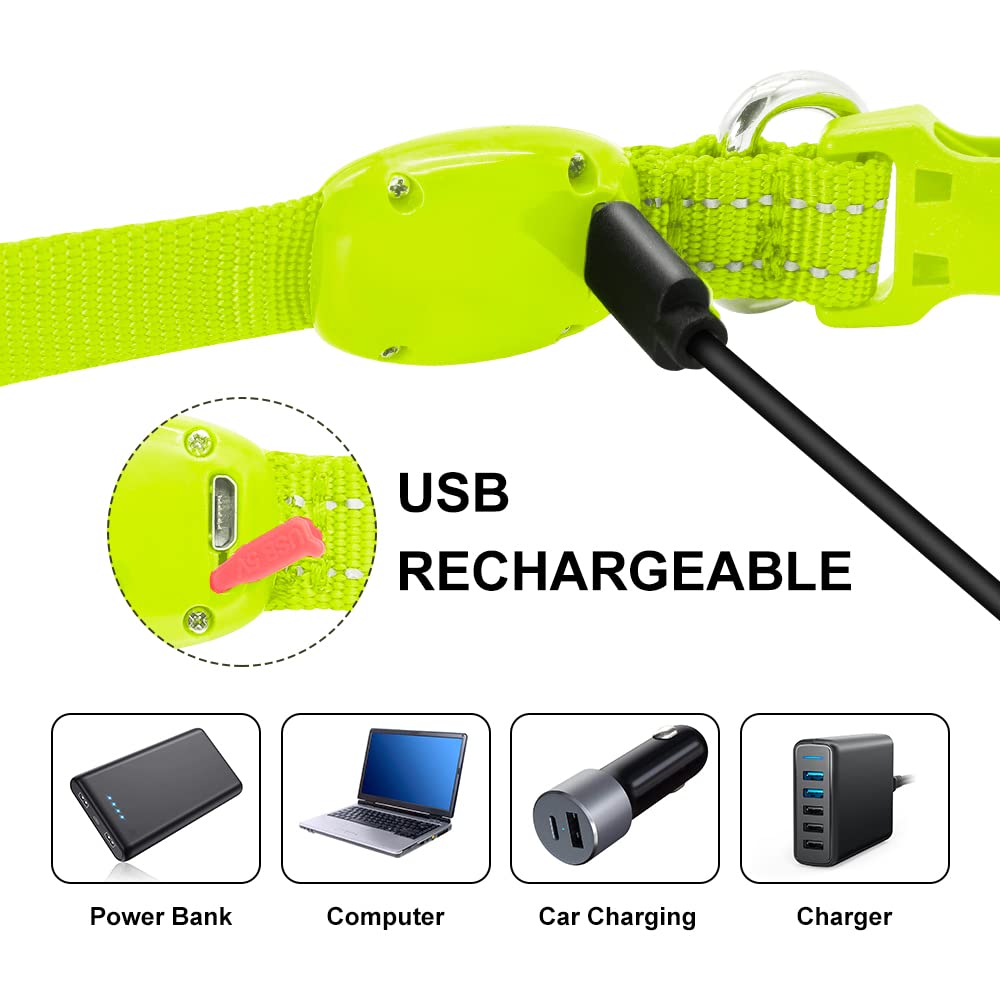 Collare per cani con LED riflettente, ricaricabile, luminoso, per animali domestici, per sicurezza notturna, ideale anche come collare per gatti illuminato (XS, verde)
