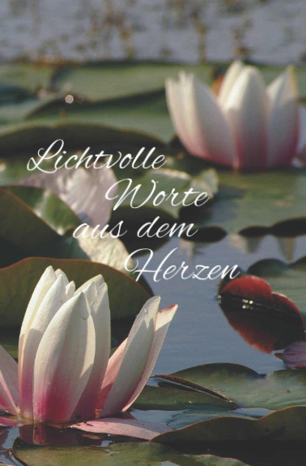 Notizbuch 130 Seiten – "Lichtvolle Worte aus dem Herzen" (Seerose) – Punktliniert – Papier: Cremeweiss – HxB 13,3 x 20,3 cm: AM-Notes (German Edition)