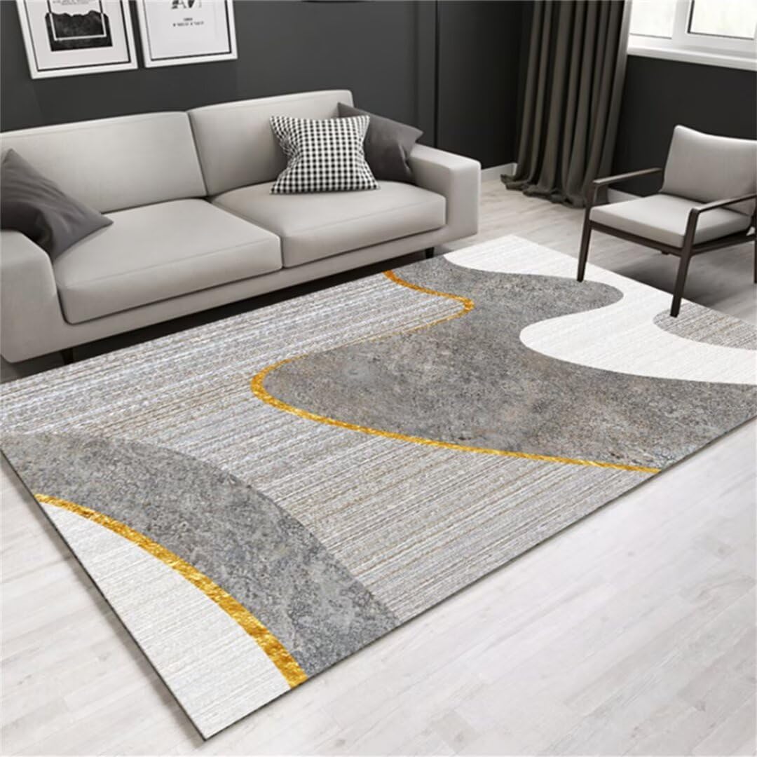 Tapis lavable anti-allergique fini les taches dans le salon et la chambre