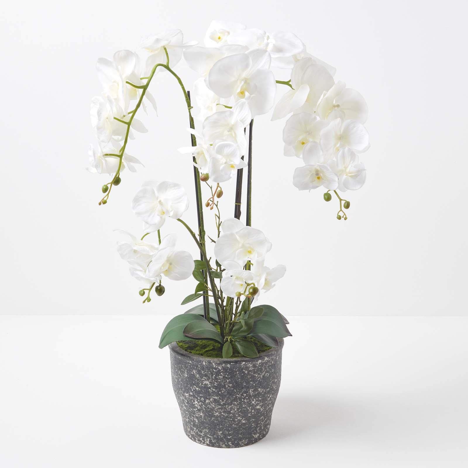 Homescapes extra große Kunstorchidee im Topf, hochwertige künstliche Orchidee mit weißen Blüten, XXL-Deko-Orchidee Phalaenopsis im dunklen Keramiktopf, dekorative Kunstblume, 82 cm hoch