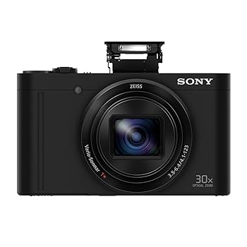Sony Cyber-shot WX500 Compact Camera with 30x Optical Zoom