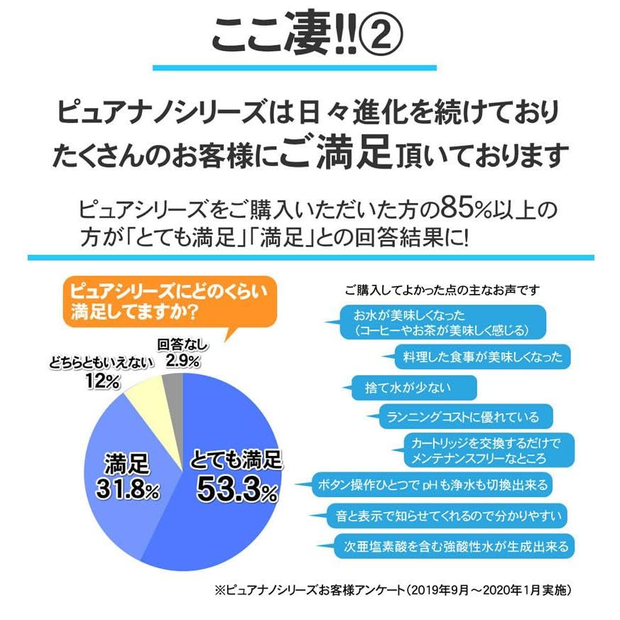 日本製 水素水生成器 浄水器 ピュアナノ ZX-05 家庭用 強酸性水