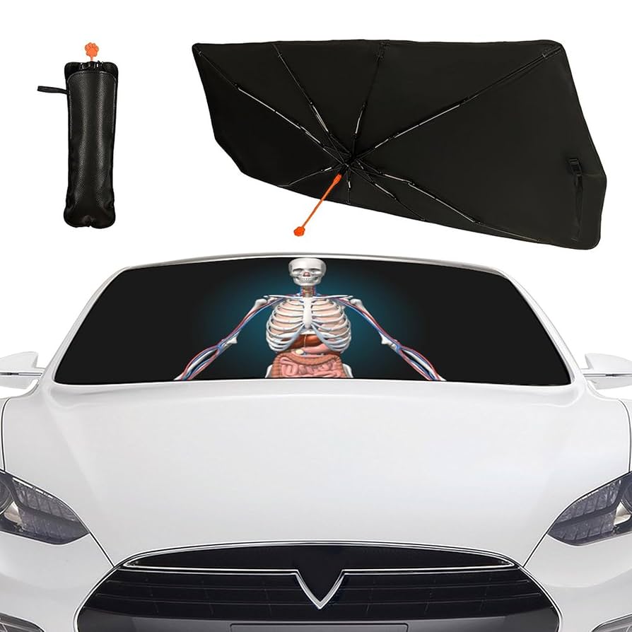 Amazon | 胸見え セクシー おっぱい 車用サンシェード フロント