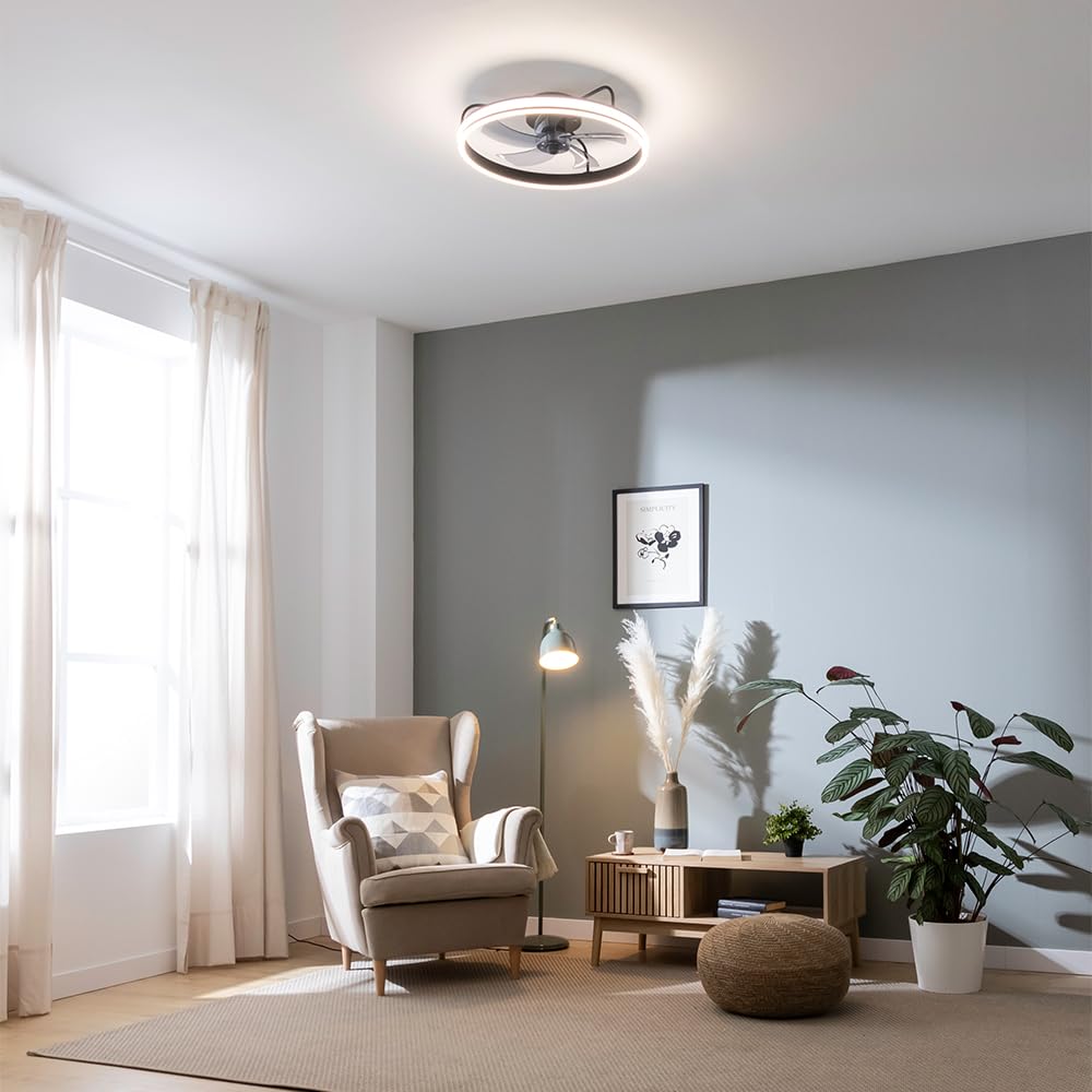 Cecotec Ventilatore da Soffitto con Luce EnergySilence LampAero 650 FlowLight. Luce Anulare a LED, 20 W, Diametro 55 cm, Telecomando, Timer Fino a 8 Ore, 3 Velocità, 5 Pale, Estate/Inverno